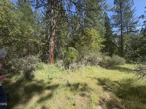 0 Kincaid Road, Unit Lot #603, Williams, OR 97544