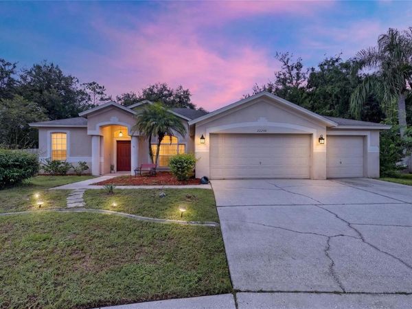 22240 WILLOW LAKES DRIVE , LUTZ, FL 33549