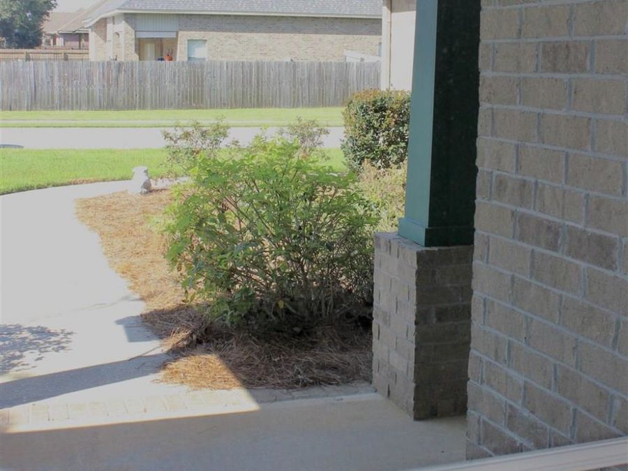 Property Image 68