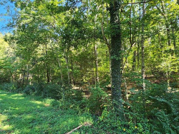 0 Sneed Road, Decatur, TN 37322