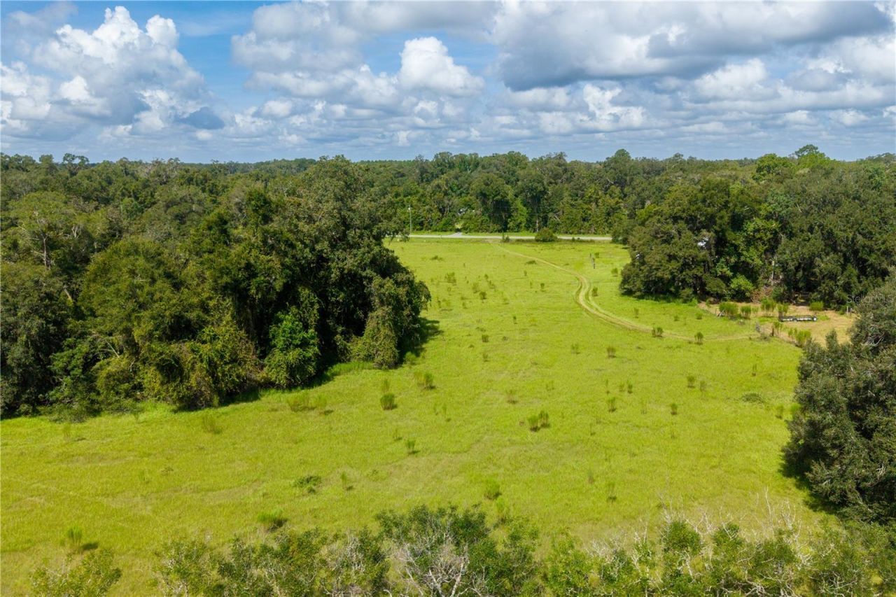 23137 NW County Road 236, High Springs, FL 32643 Photo
