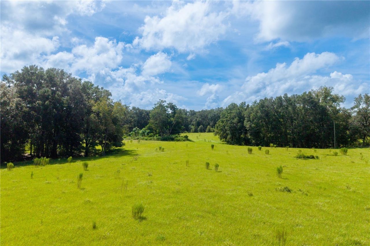 23137 NW County Road 236, High Springs, FL 32643 Photo
