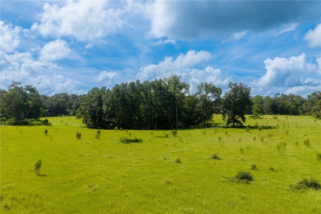 23137 NW County Road 236, High Springs, FL 32643 Photo