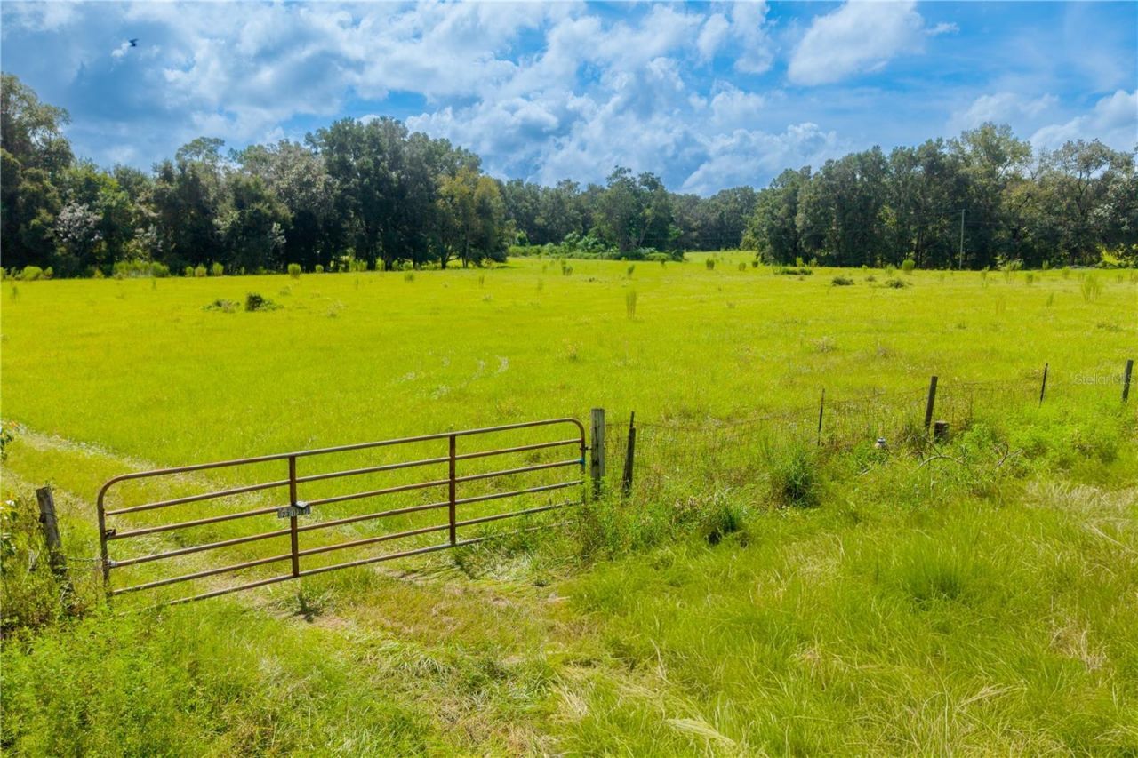 23137 NW County Road 236, High Springs, FL 32643 Photo