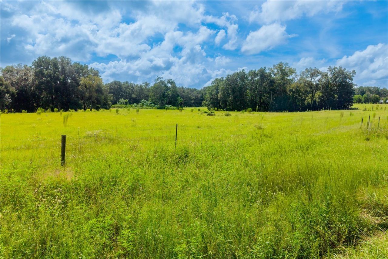 23137 NW County Road 236, High Springs, FL 32643 Photo