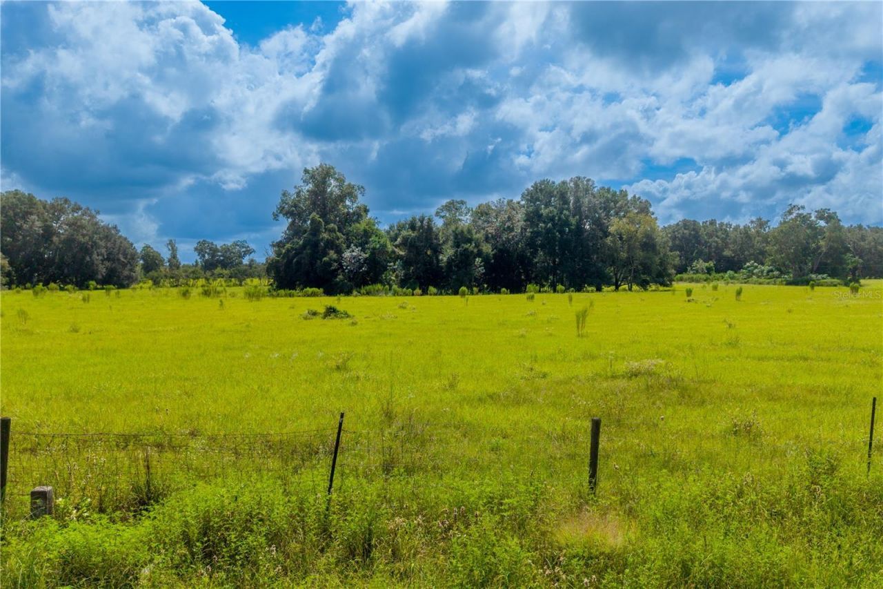 23137 NW County Road 236, High Springs, FL 32643 Photo