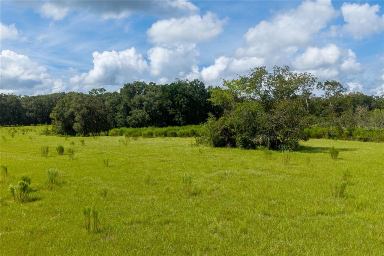 23137 NW County Road 236, High Springs, FL 32643 Photo