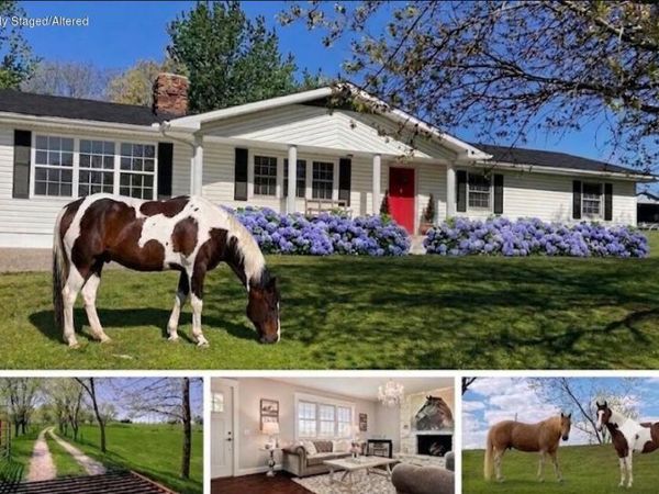 26093 State Highway NN, Washburn, MO 65772