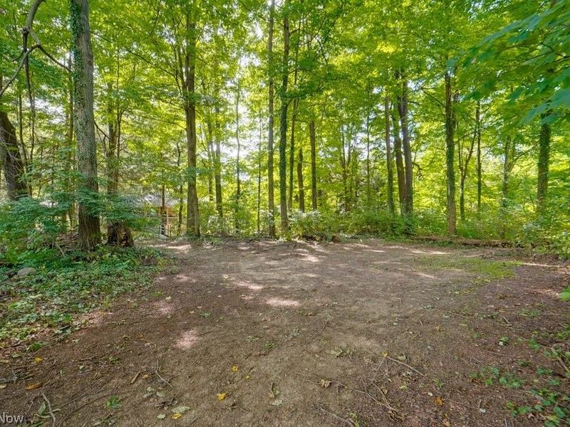 528 Pres Vannes Drive, Dalton, OH 44618 Photo 35