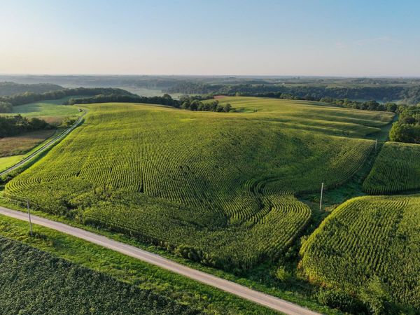 0 196th Street, Bellevue, IA 52031