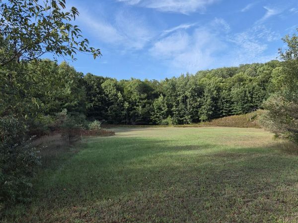 Adamson Lake Road, Kaleva, MI 49645