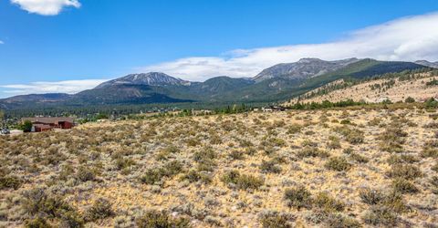 0 Mount Rose Highway, Lot #049-070-10, Reno, NV 89511 Photo