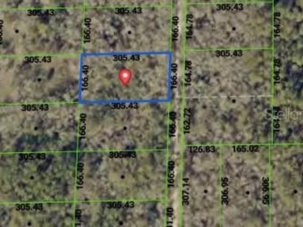 TBD PACKINGHAM DRIVE , WEBSTER, FL 33597
