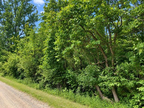 v/l 55th Street, Grand Junction, MI 49056