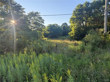 6289 Cavanaugh Road, Marcy, NY 13403