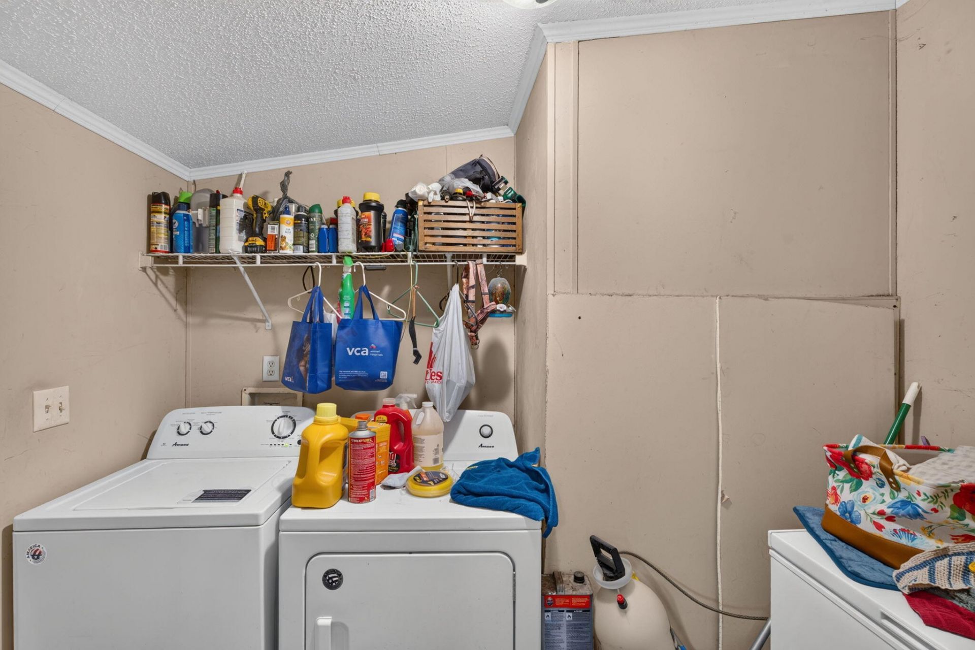 242 Cady Drive Photo 13
