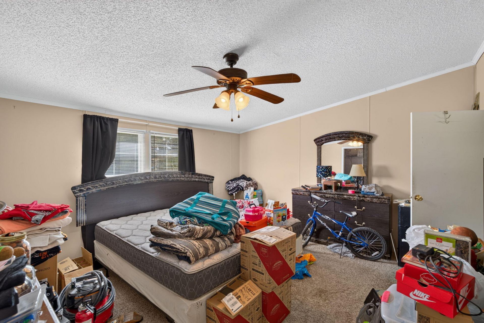 242 Cady Drive Photo 19