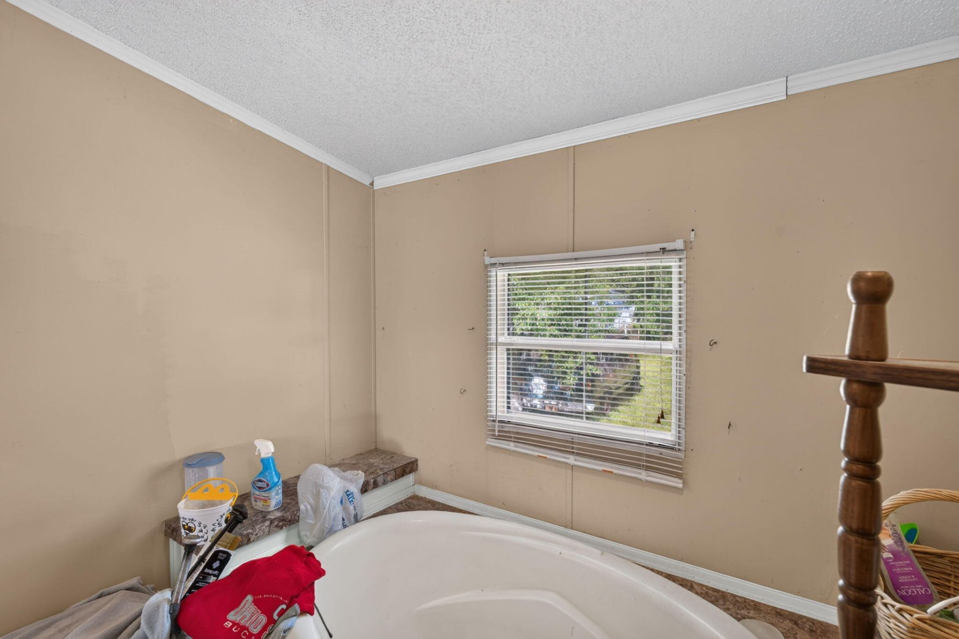 242 Cady Drive Photo 22