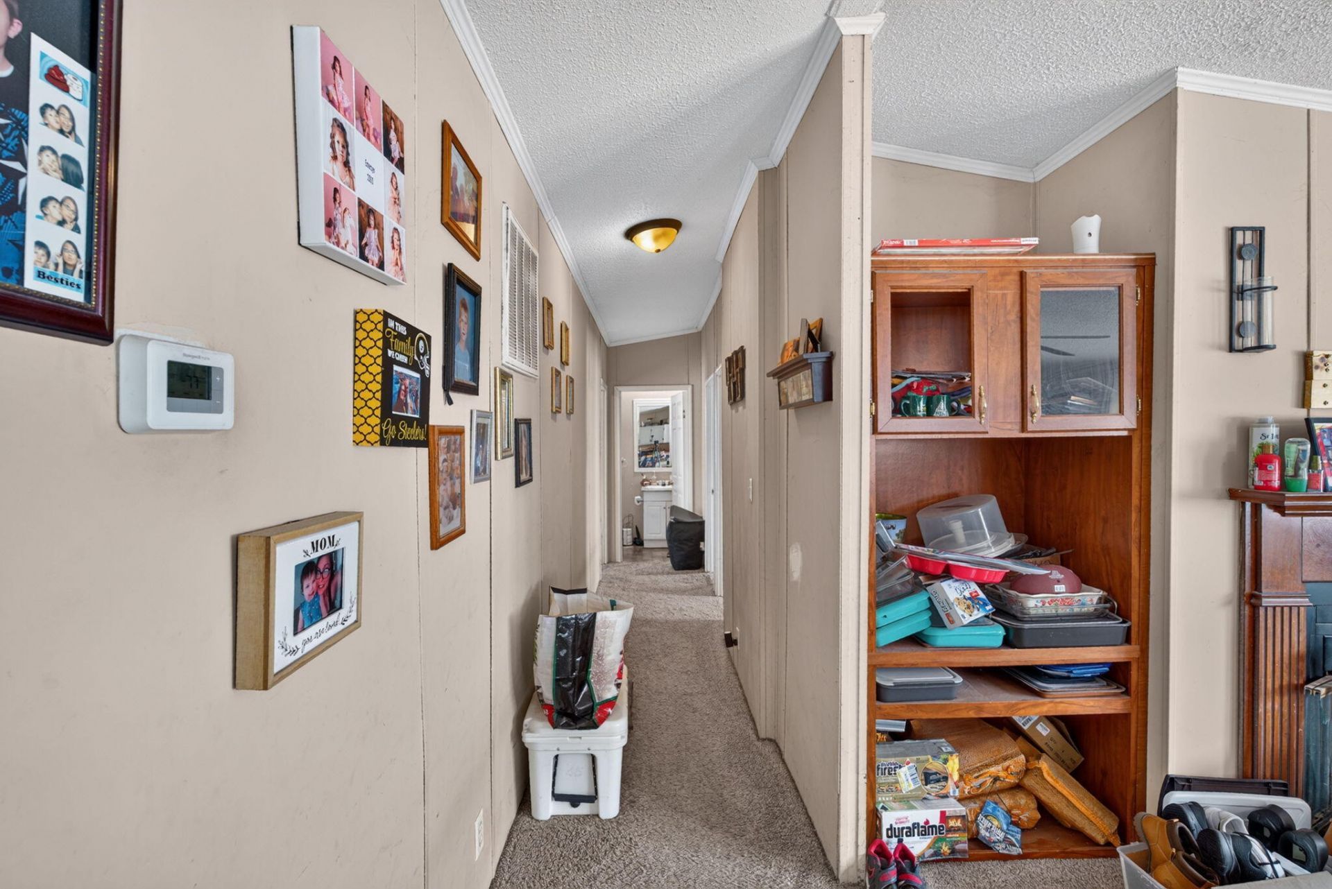 242 Cady Drive Photo 24