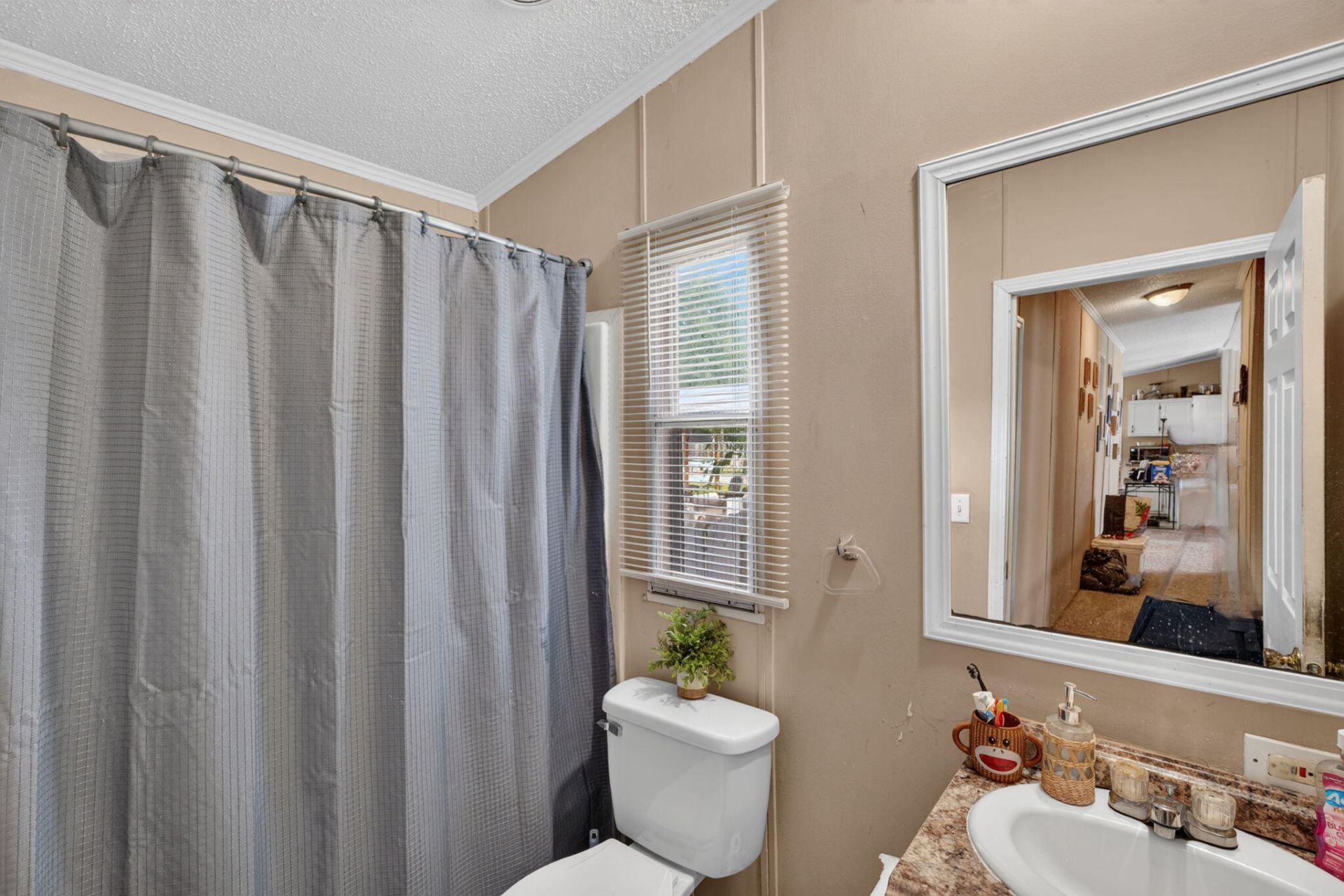 242 Cady Drive Photo 28