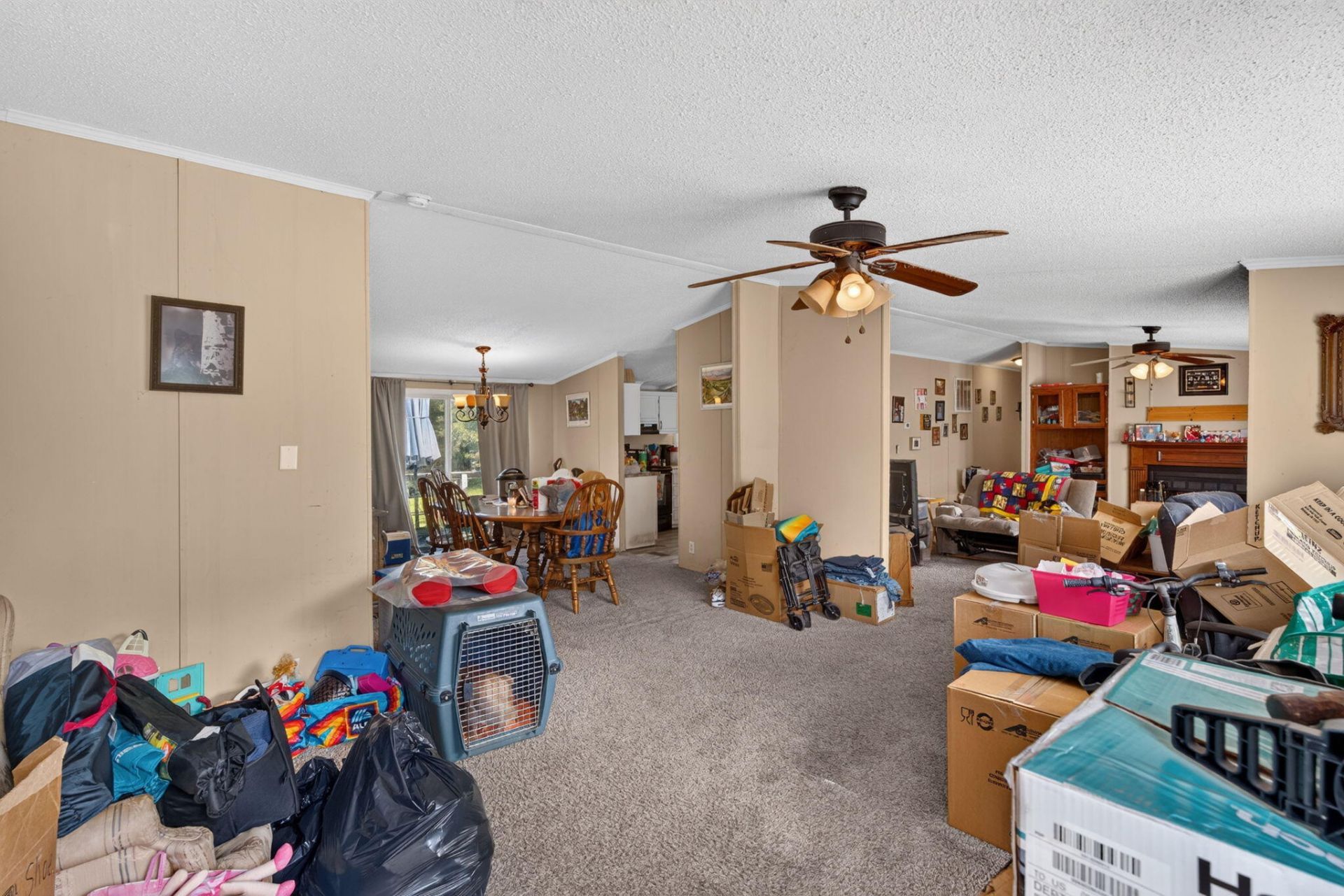 242 Cady Drive Photo 5