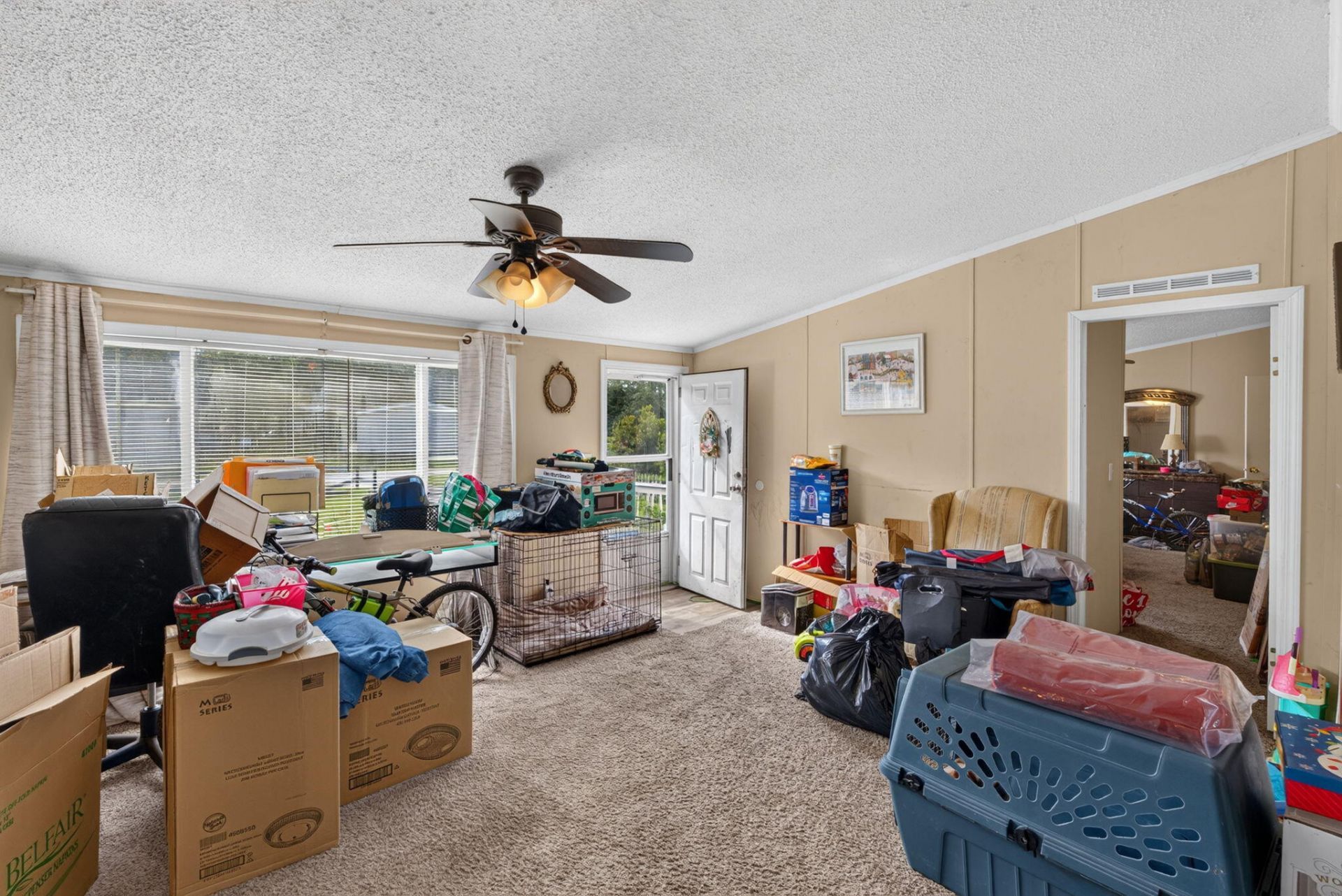 242 Cady Drive Photo 6