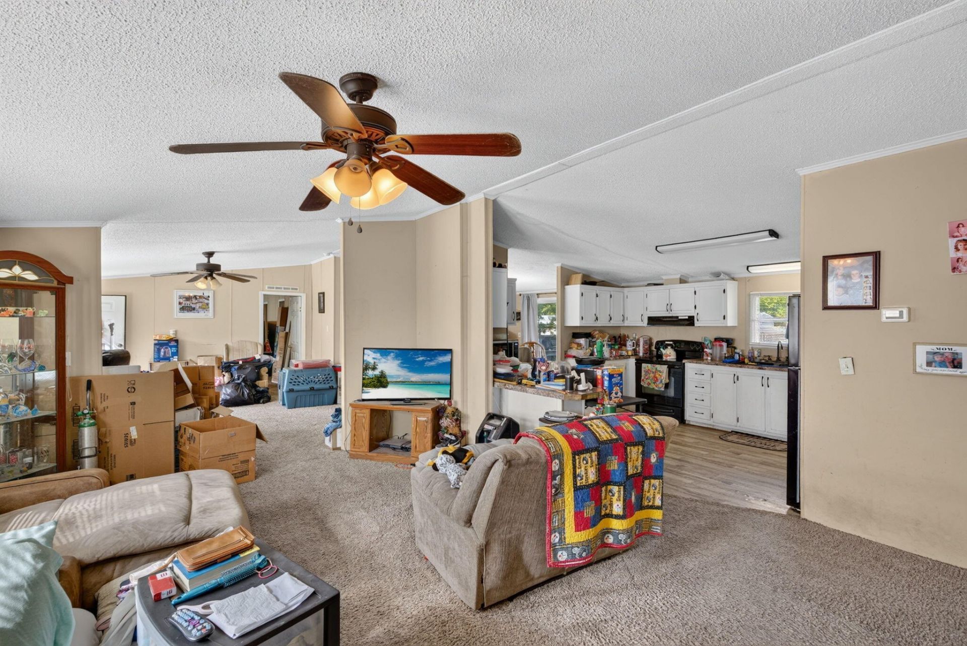 242 Cady Drive Photo 8