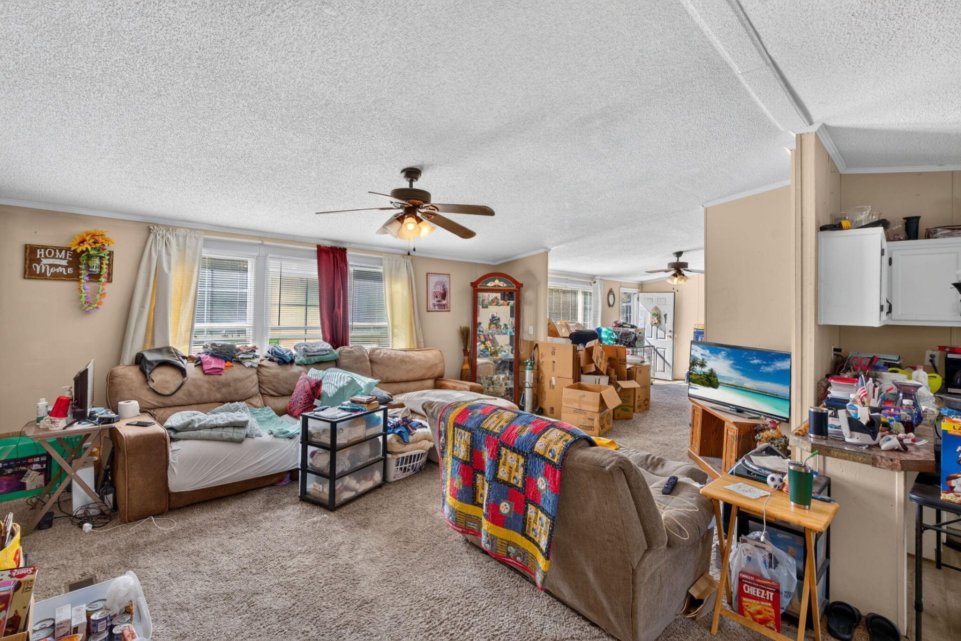 242 Cady Drive Photo 9