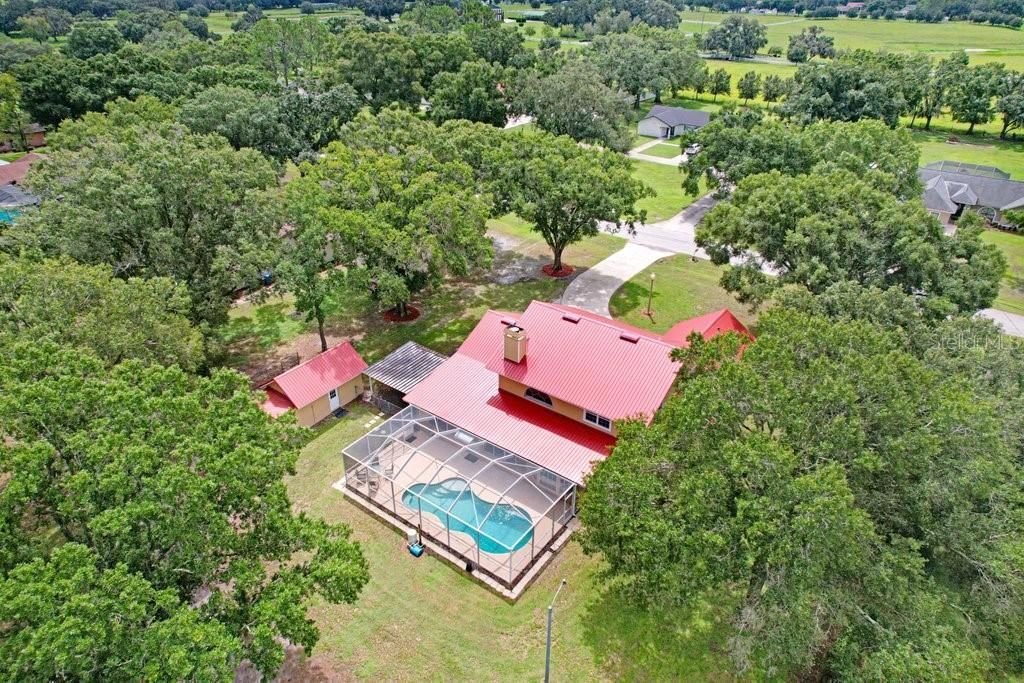 13108 Lilita Avenue, Dover, FL 33527 Photo