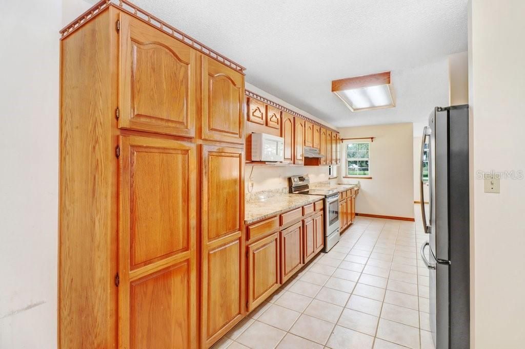 13108 Lilita Avenue, Dover, FL 33527 Photo