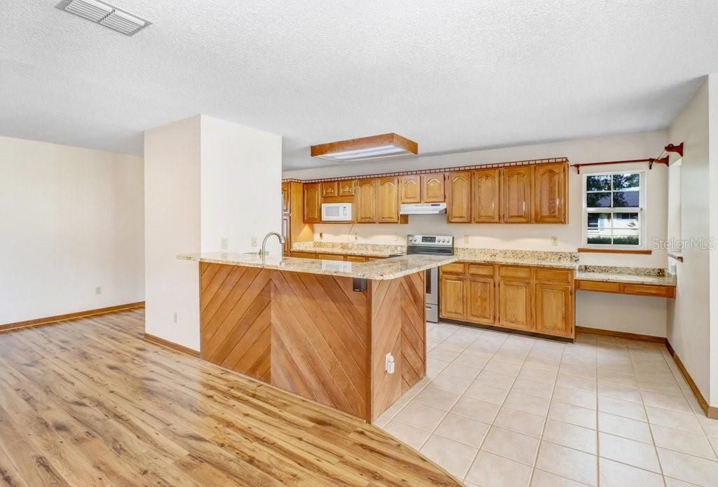 13108 Lilita Avenue, Dover, FL 33527 Photo