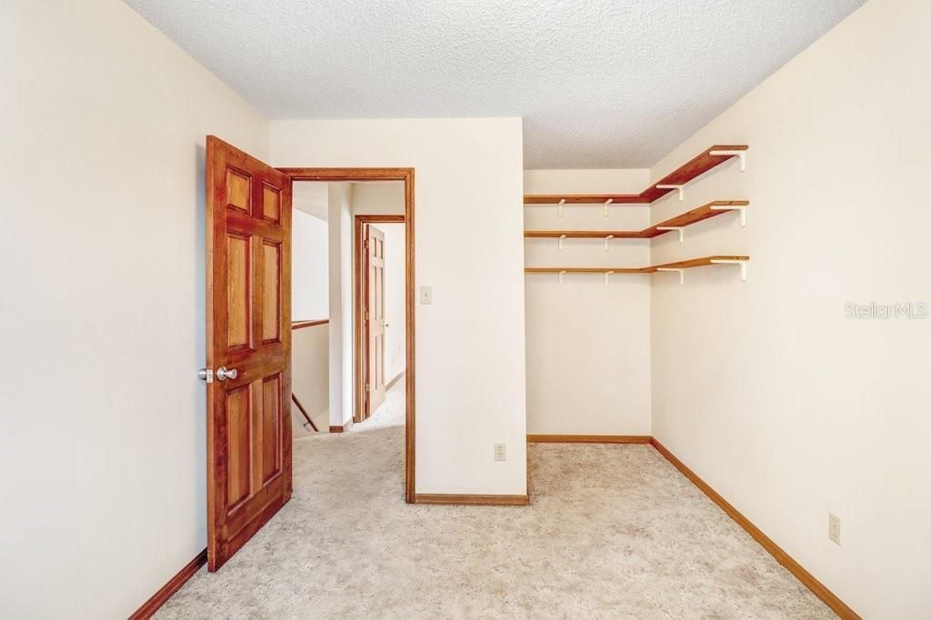 13108 Lilita Avenue, Dover, FL 33527 Photo