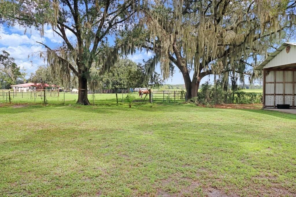 13108 Lilita Avenue, Dover, FL 33527 Photo