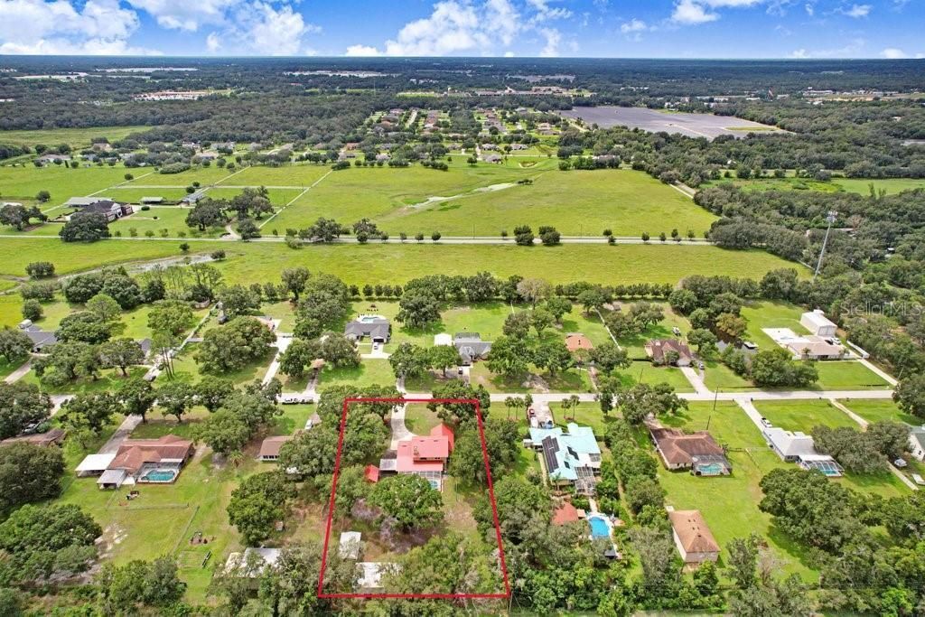 13108 Lilita Avenue, Dover, FL 33527 Photo