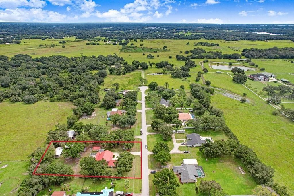 13108 Lilita Avenue, Dover, FL 33527 Photo