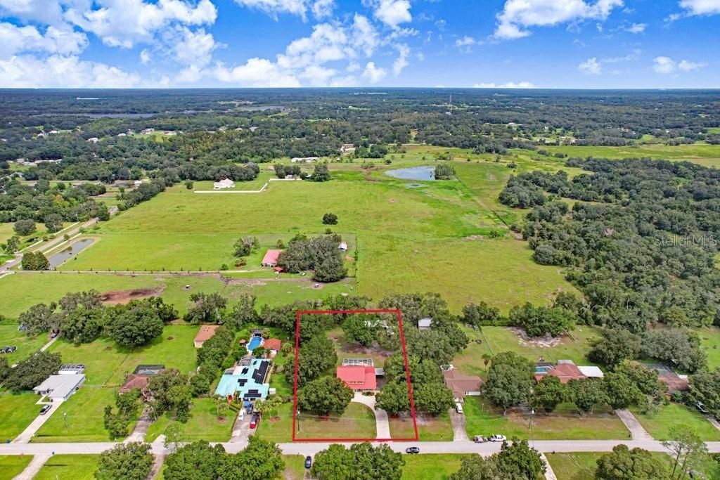 13108 Lilita Avenue, Dover, FL 33527 Photo
