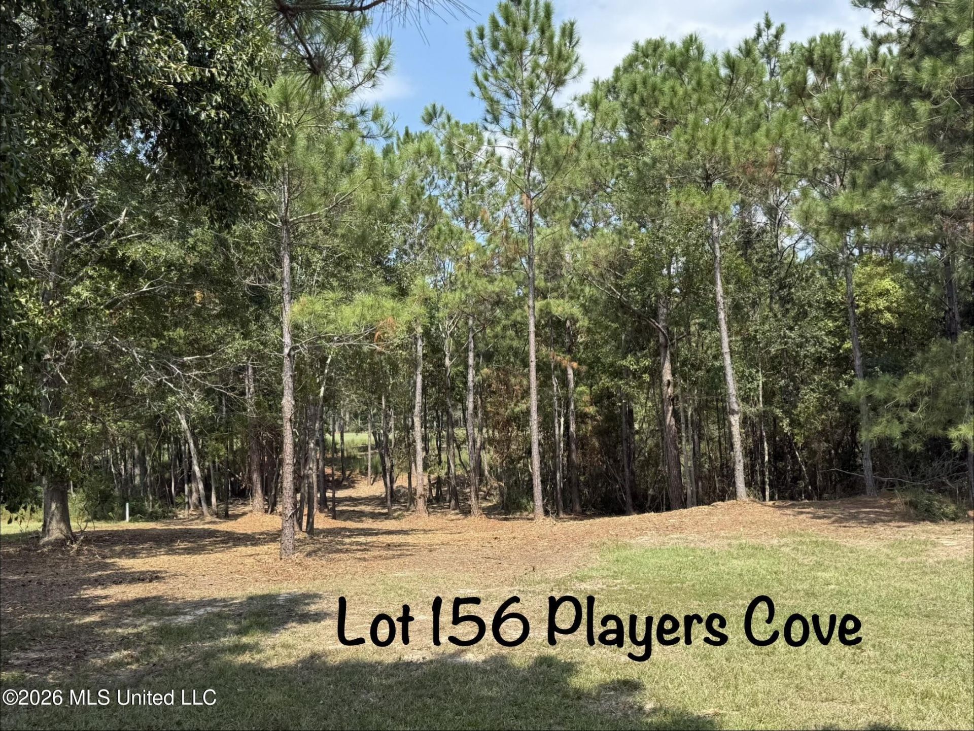 Players Cove, Gautier, MS 39553 Main Photo