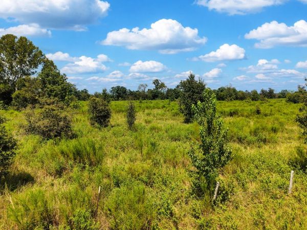 000 173RD PLACE, Live Oak, FL 32060