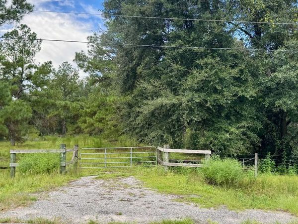 NE DUSTY MILLER AVENUE, Pinetta, FL 32350