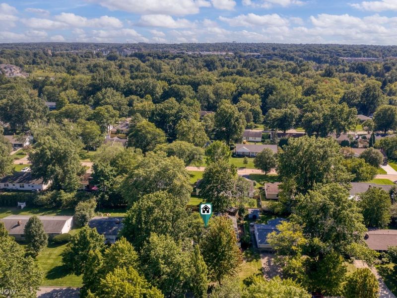 5192 Dogwood Trail, Cleveland, OH 44124 Photo 11