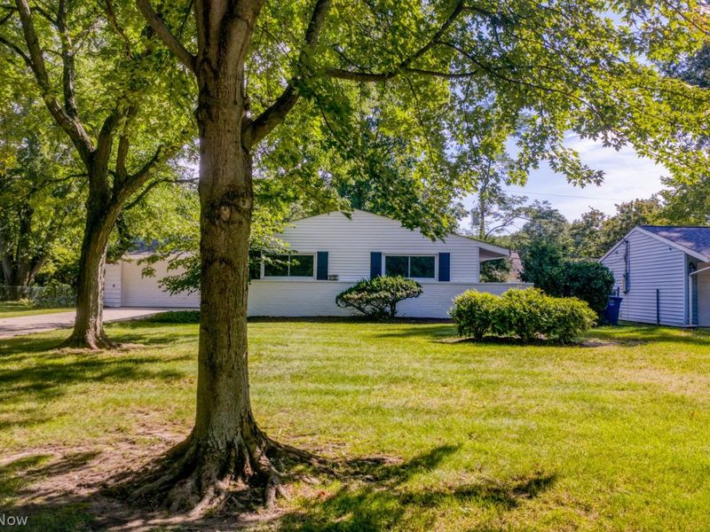 5192 Dogwood Trail, Cleveland, OH 44124 Photo 4