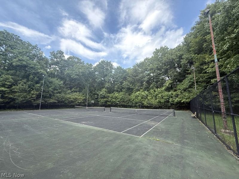 15207 Hook Hollow Road, Novelty, OH 44072 Photo 30