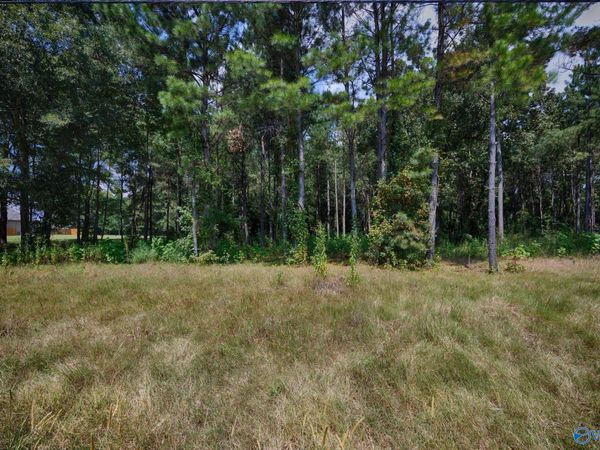 19239 Bick Jock Road, Elkmont, AL 35620