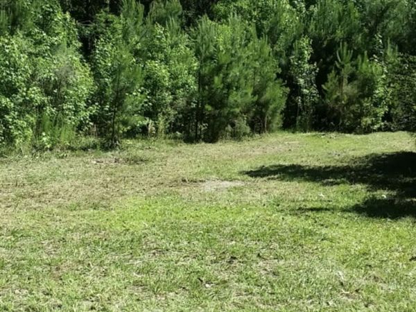 221 Turtle Drive, Richmond Hill, GA 31324