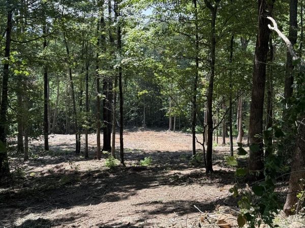 150 Mountaineer Trail , Unit 150, Sevierville, TN 37862