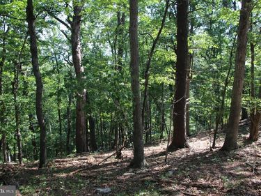 0 LOOKOUT DRIVE , SHENANDOAH, VA 22849