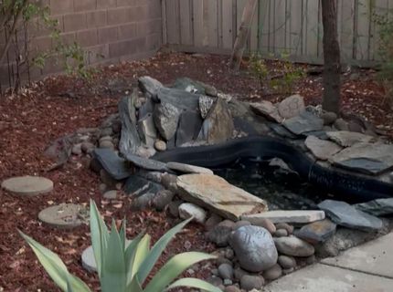 1765 Mary Rose Ln, Lincoln, CA 95648 Photo