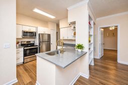 700 Daniel Ellis Drive photo 4