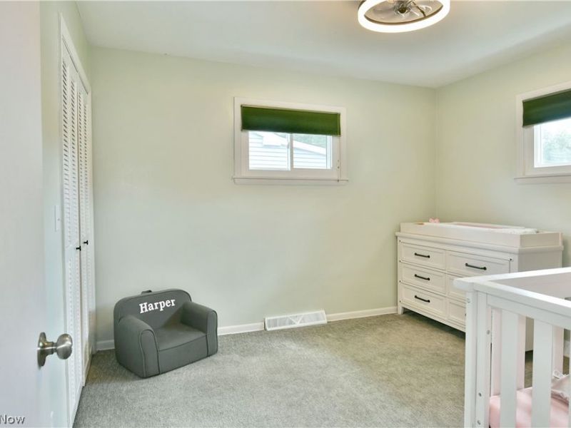 1177 Woodlawn Avenue, Girard, OH 44420 Photo 37