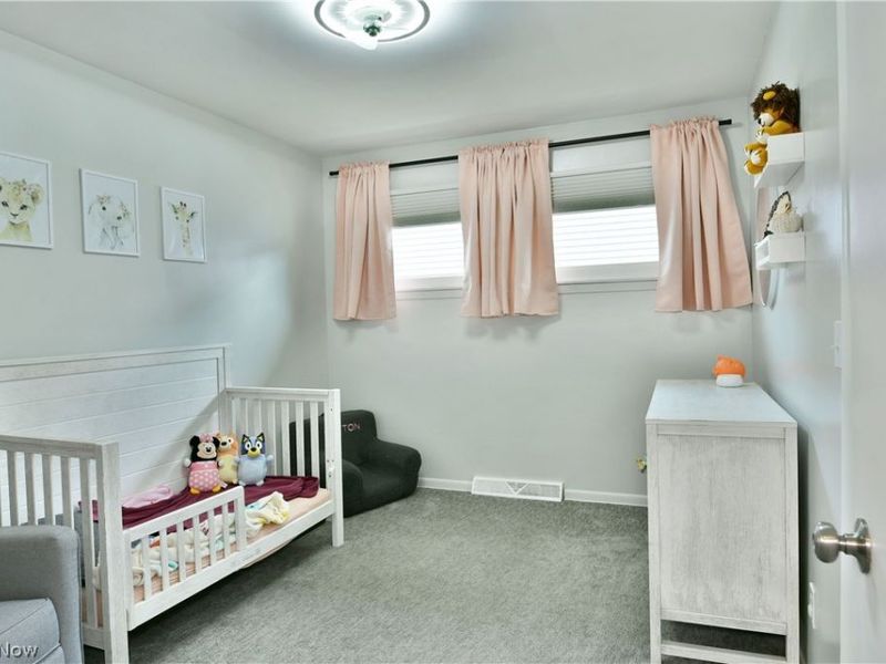 1177 Woodlawn Avenue, Girard, OH 44420 Photo 41